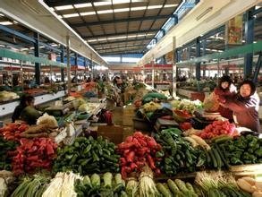 廣東韶關粵北農副產品批發市場全面攻略 地址、路線、營業時間與拿貨技巧